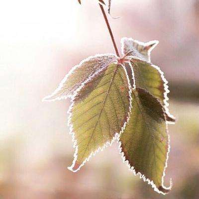 幻想英雄2国际最新版下载